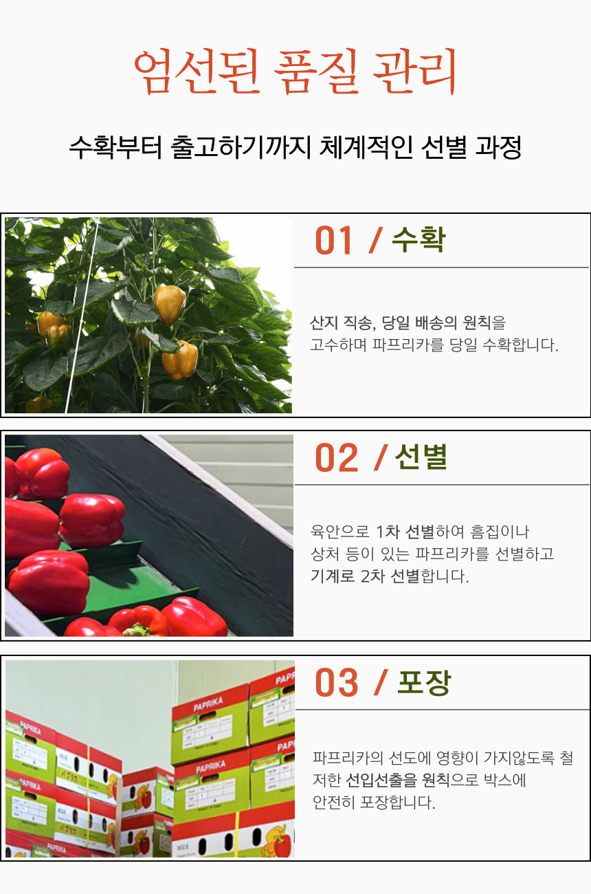 고정 하단 _1 (5)